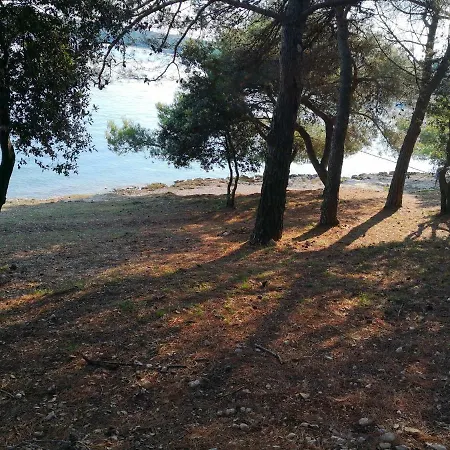 Apartmán Vila Romana *