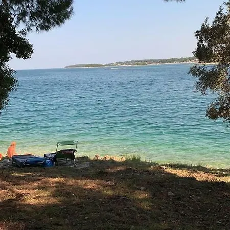 Vila Romana *