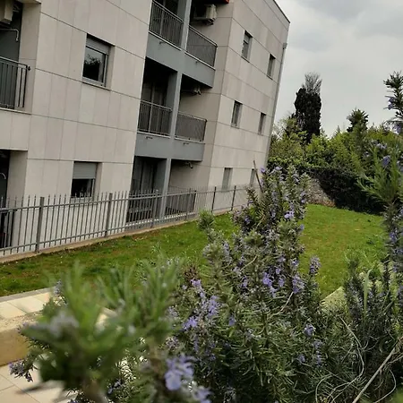 Apartment Vila Romana