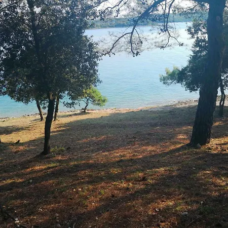 Apartment Vila Romana *