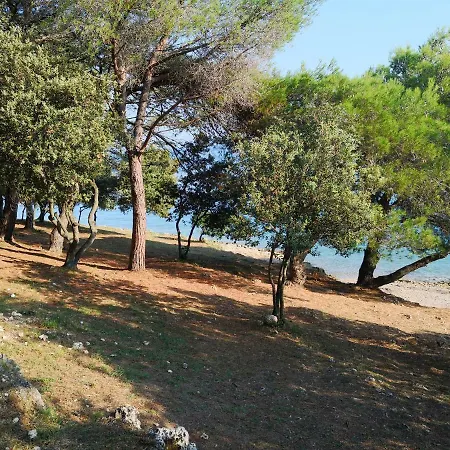 Vila Romana Apartment *
