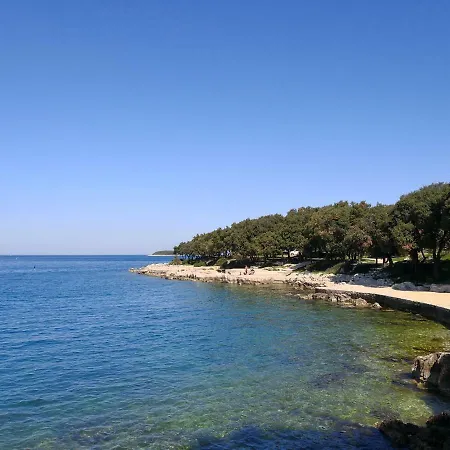 Apartment Vila Romana
